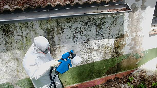 Trusted Commercial Mold Remediation service in Holland, TX - Cheap Mold Removal